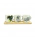 TAZA D/PORCELANA GATO/PERRO J25003