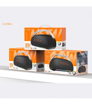 SPEAKER NL112 80W EZRA